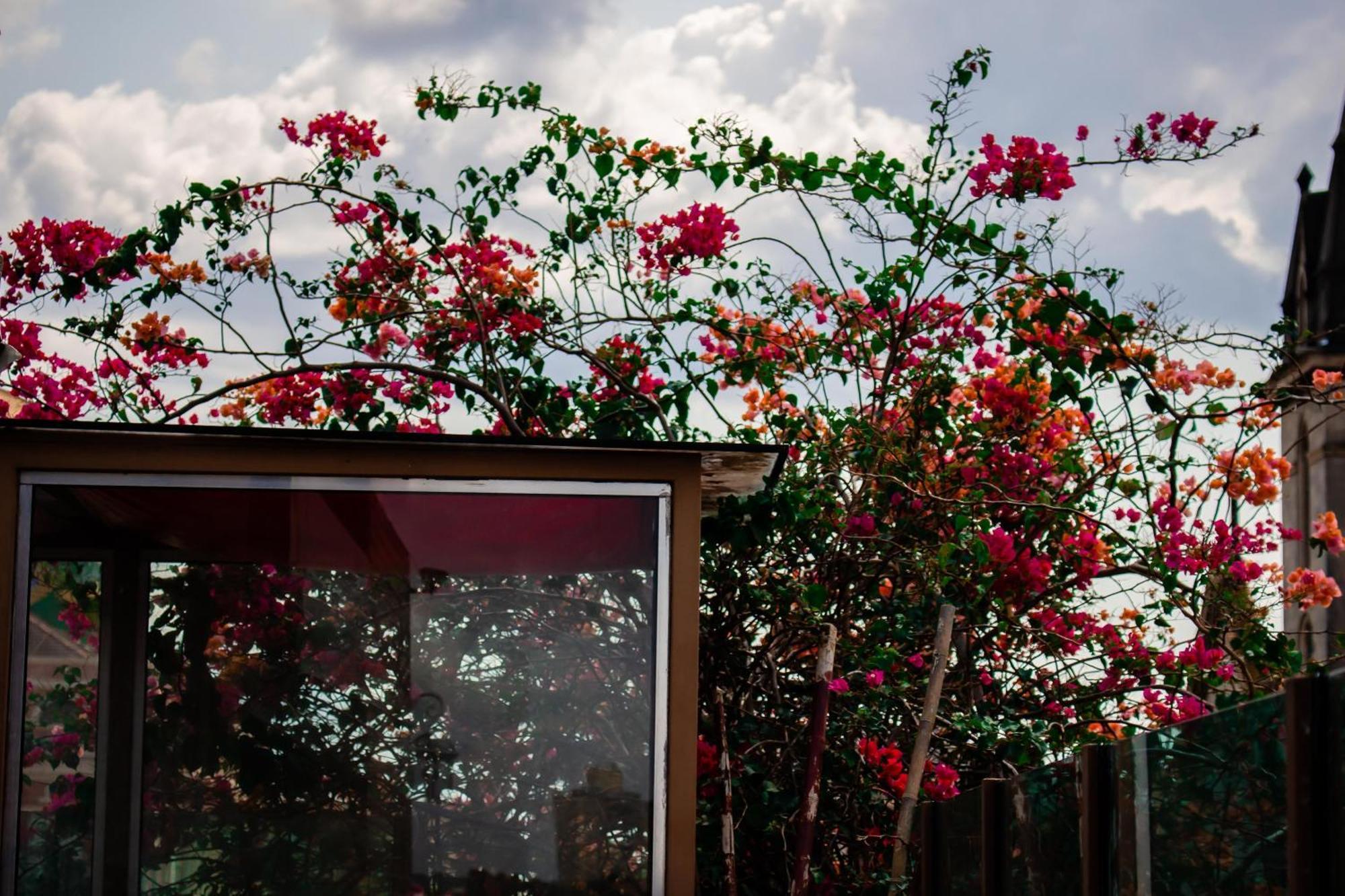 Boutique Hotel Casa Teatro Nin Ngoại thất bức ảnh