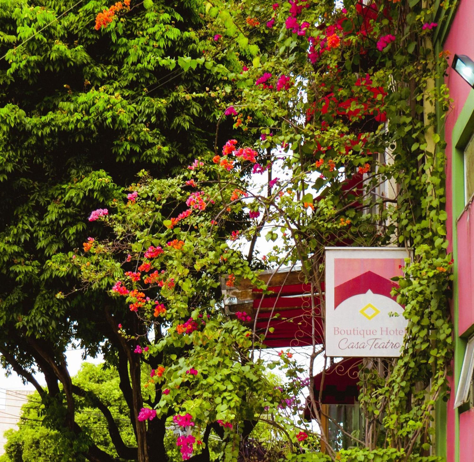 Boutique Hotel Casa Teatro Nin Ngoại thất bức ảnh
